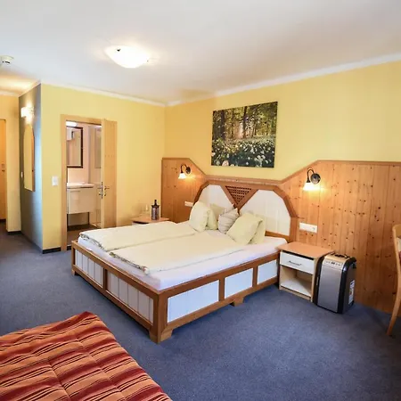 Erlys Cityhotel Affittacamere Schladming