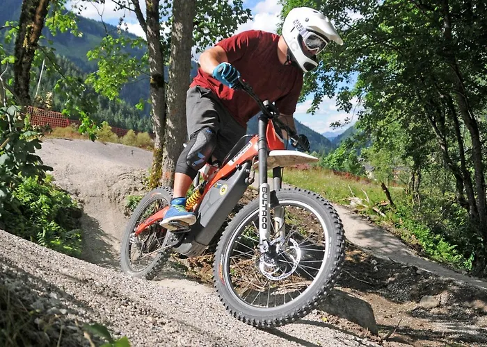 Erlys Cityhotel Konukevi Schladming